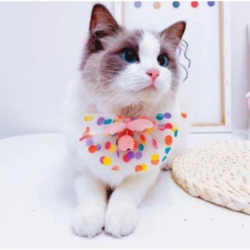 【寵愛毛宅】蕾絲蝴蝶結翅膀鈴鐺項圈 寵物項圈 寵物領結 寵物鈴鐺 項圈 貓狗蕾絲蝴蝶結鈴鐺項圈 脖圍 寵物項圈 寵物頸部裝飾