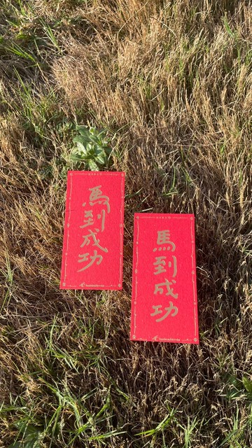 2026馬年小長方春貼  馬到星空 馬到成功