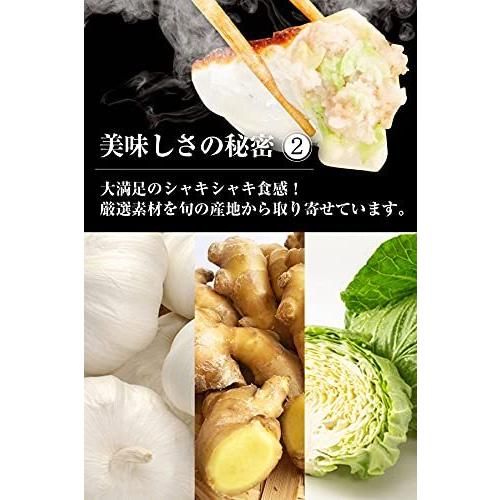 餃子 取り寄せ 冷凍餃子 お取り寄せグルメ ぎょうざ 冷凍 [美食点心ぎょうざ館] 黒餃子本餃子セット（16人前／96個）