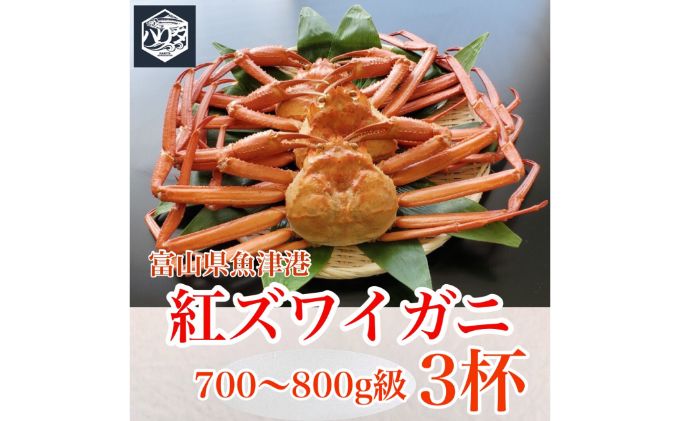 魚卸問屋のベニズワイガニ 700～800g級×3杯 はりたや