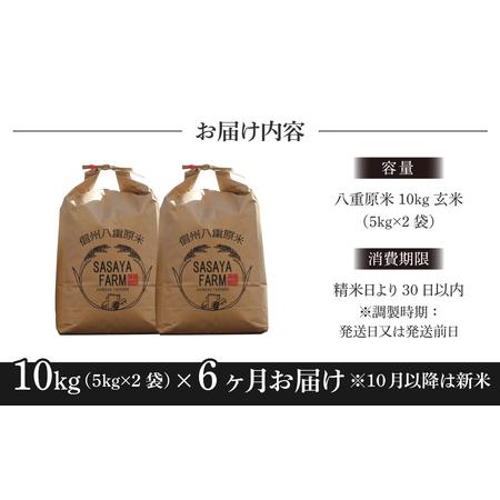 ふるさと納税 八重原米10kg（5kg×2袋）玄米 長野県東御市