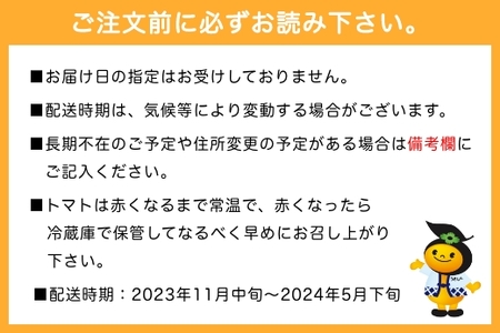 P343 道の駅うきは 桃太郎トマト 12玉前後 (約2kg)