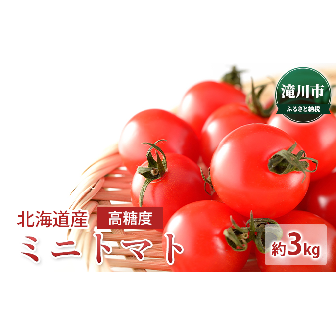 北海道産 高糖度ミニトマト 約3kg＜2024年7月中旬～順次出荷＞｜トマト とまと ミニトマト みにとまと 野菜 やさい 2024年発送 令和6年発送 糖度 先行受付