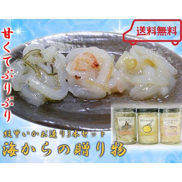 海からの贈り物　紋甲いかお造り3本セット（昆布じめ、桜えび仕立て、柚子こしょう仕立て）（源馬） お歳暮 のし対応可