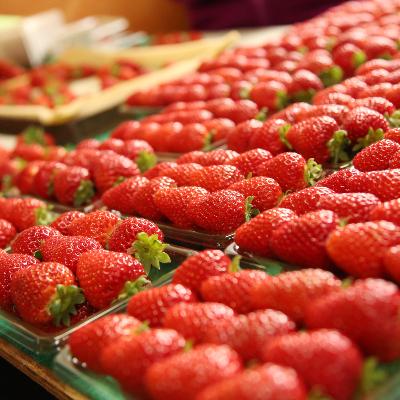 ふるさと納税 紀の川市 まりひめ　いちご　和歌山県紀の川市　1箱(400g以上)