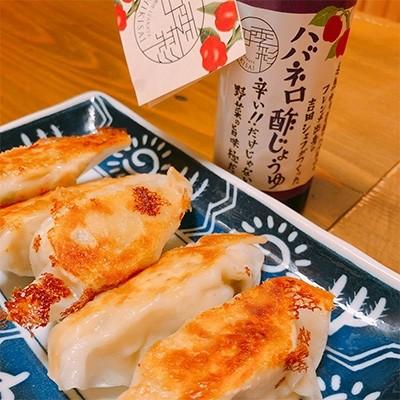 ふるさと納税 糸島市 ハバネロ調味料　200ml　5本セット