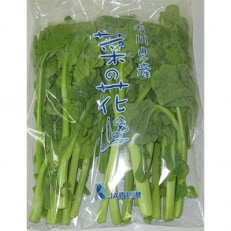 旬の野菜　菜の花(袋入り)　約2kg