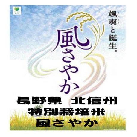 長野県産北信州 特別栽培米風さやか　令和5年産　白米　5kg　送料無料（本州のみ）