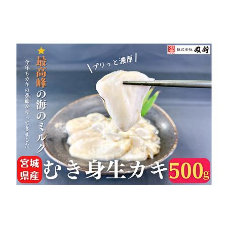 ふるさと納税 宮城県産むき牡蠣（生食用）500g 宮城県南三陸町