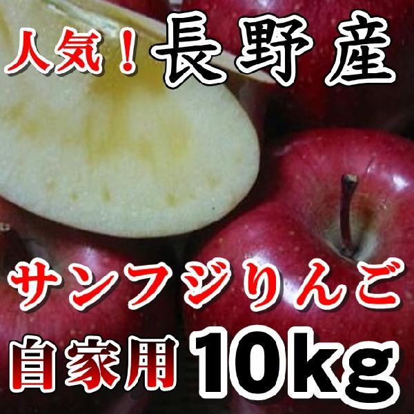 さんふじりんご　個数限定　長野 サンふじりんご 自家用１０ｋｇ 訳あり　ご家庭用７年連続1位のこだわりりんご