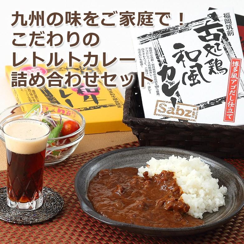 カレー専門店こだわりの詰め合わせセット 九州ご当地カレーセット 送料無料 ポイント消化