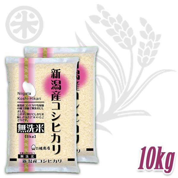 [新米 令和5年産] 無洗米 新潟産コシヒカリ 10kg (5kg×2袋) [NTWP製法] お米 新潟米 新潟県産 こしひかり 送料無料 ギフト対応