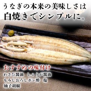 国産 うなぎ 蒲焼 鰻 3尾 ギフトボックス 化粧箱 老舗 専門店 タレ付き 山椒 （ うなぎ 鰻 国産うなぎ 国産鰻 うなぎ3尾 うなぎセット うなぎ蒲焼 鰻蒲焼 鰻ギフト 鰻贈答用 鰻 FN-SupportProject 鰻タレ付き FN-SupportProject 鰻老舗 FN-SupportProject 鰻専門店 年末企画 鰻 年末企画 静岡 沼津 年末企画 ）