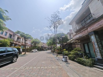 義大皇家雙併寬闊庭園大地坪車墅｜高雄市大樹區學城路一段