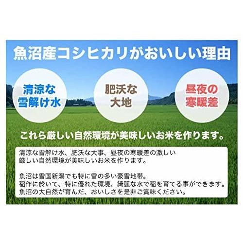 新潟県産 魚沼産コシヒカリ 白米 5kg 令和5年産