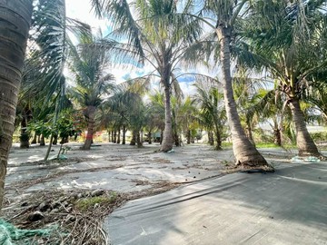 高鐵高發段角窗農地｜台南市歸仁區高發段