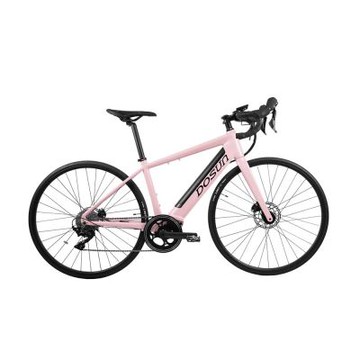 【DOSUN】電動輔助自行車 RT100 43CM 油壓碟 粉送安裝(車麗屋)