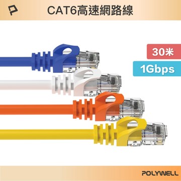 POLYWELL CAT6 網路線 30M