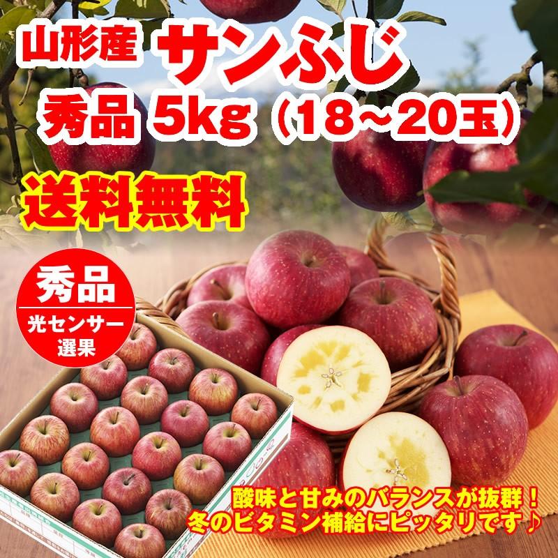 りんご 送料無料 山形県産 サンふじ 5kg(18-20玉) 林檎 リンゴ