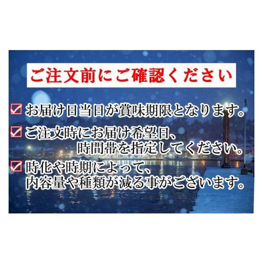 ふるさと納税 石川県 能登町 能登の鮮魚を捌いてお届け！旬の刺身盛り合わせセット（3人前）