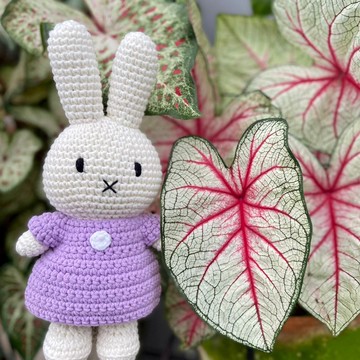 荷蘭 Just Dutch | Miffy 米飛兔 編織娃娃和她的紫羅蘭洋裝