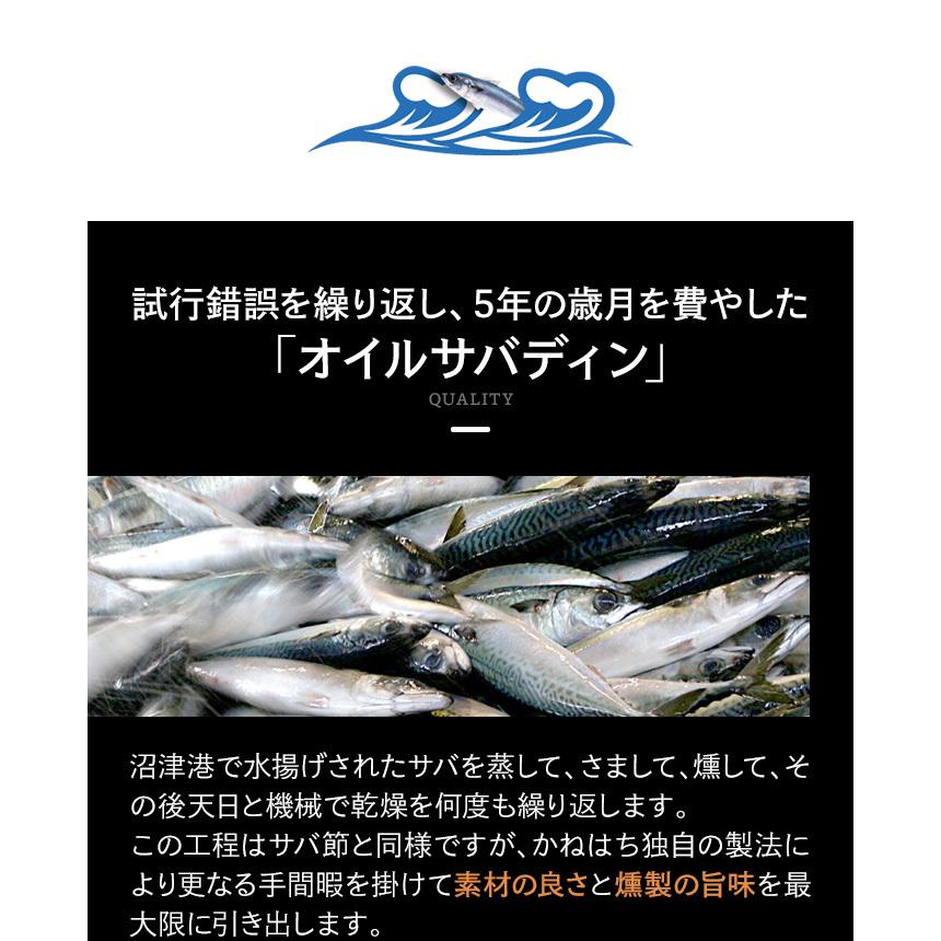 オイルサバディン 4種×2缶食べ比べギフトセット かねはち お歳暮 のし対応可