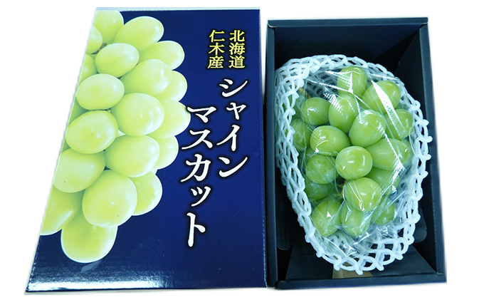 先行受付 2024年10月から順次出荷 北海道 仁木町産 シャインマスカット厳選品 500g以上  松山商店