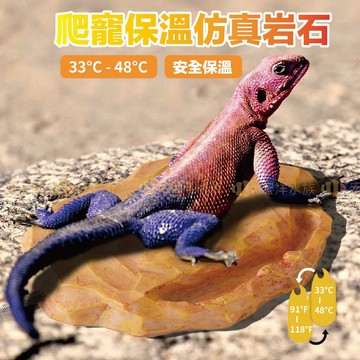 宏洋【爬寵專用地暖✨保溫石╴智能六段恆溫】爬蟲保溫岩／加熱墊／加熱片／加溫片／加溫墊／爬蟲加溫／加熱板／守宮／蜥蜴／陸龜