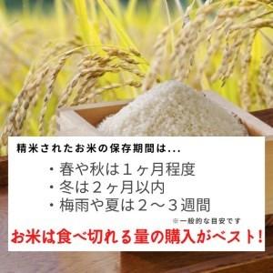 ふるさと納税 定期便 新米 6kg 12ヶ月 京都丹波米 こしひかり 白米 12回定期便 6kg （2kg×3袋） × 12回 計72kg ※精米したてをお届け.. 京都府亀岡市