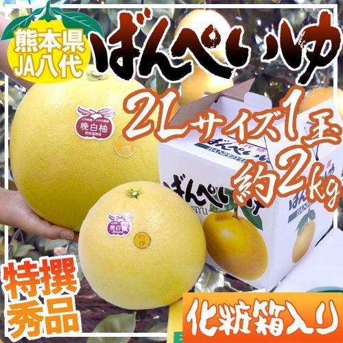 熊本県八代特産 ”晩白柚” ばんぺいゆ 秀品 2Lサイズ 1玉 約2kg 化粧箱入り 送料無料