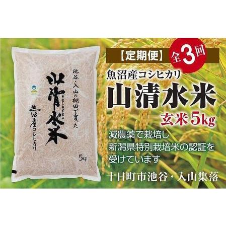 ふるさと納税 玄米5kg　新潟県魚沼産コシヒカリ「山清水米」 新潟県十日町市