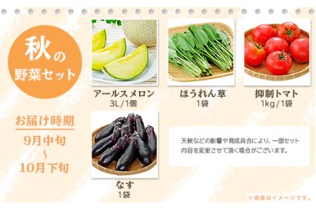 162茨城町産「旬の野菜果物」セット