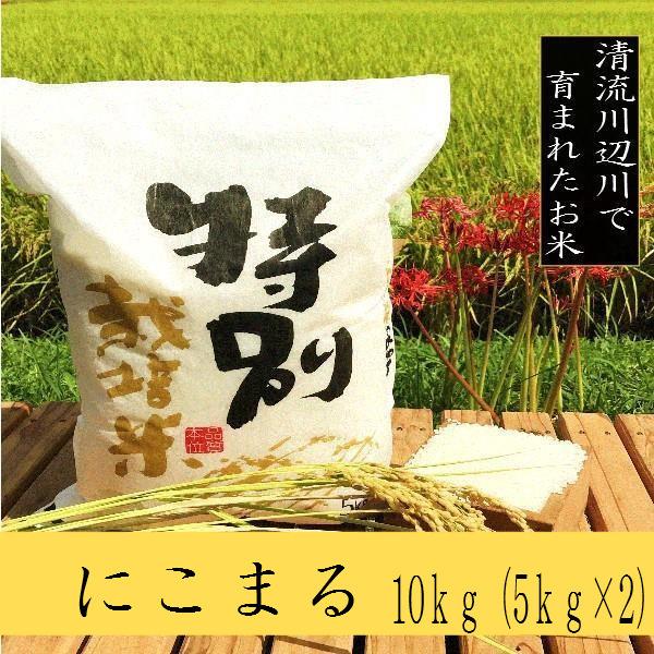 新米にこまる　10kg -令和5年産 熊本県産 特別栽培米　精白米