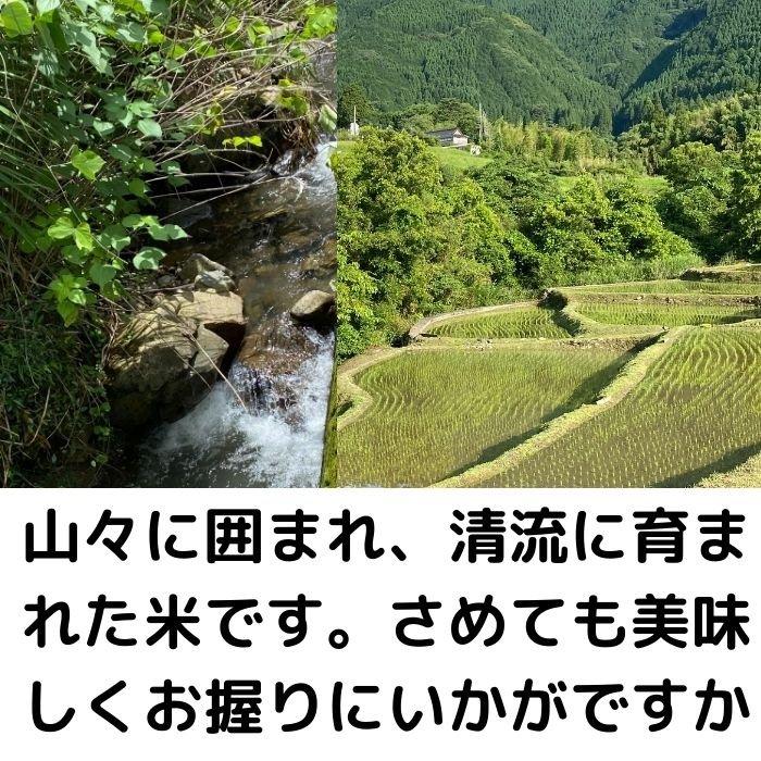 有機野菜＋米3kgセット（L） 送料無料 有機栽培 無農薬