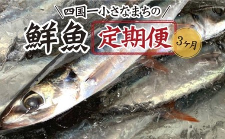 ～海の幸～旬の朝どれ鮮魚セット カネアリ水産の鮮魚定期便３ヶ月 季節 四季 旬 春 夏 秋 冬 鮮魚 カツオ サバ 金目鯛 カンパチ 魚 海鮮 冷蔵