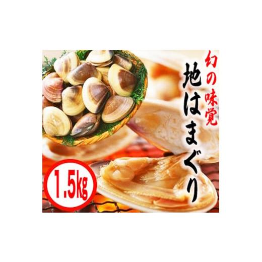 ふるさと納税 茨城県 鹿嶋市 KBL-4　鹿島灘特産★ブランド地はまぐり（中盛り1.5kg） BBQ 　貝類　はまぐり 鹿嶋灘 鹿嶋市 茨城県 送料無料