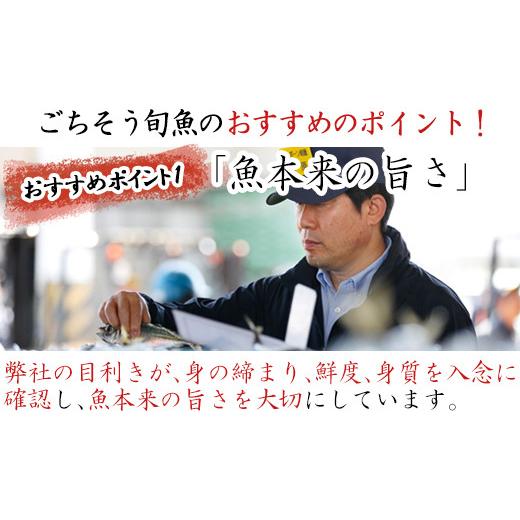 ふるさと納税 佐賀県 唐津市 目利きが選んだごちそう旬魚 7種9枚7切 セット あじ さば ぶり さわら 真鯛 赤むつ 干物 粕漬け しめ鯖 みりん醤油漬け 味噌漬け …