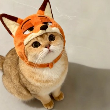 動物方城市周邊 朱迪 尼克 寵物帽 狗貓帽 春冬加厚 狐尼克裝扮 頭套保暖帽 寵物裝扮 針織帽子 電影周邊 卡通裝扮