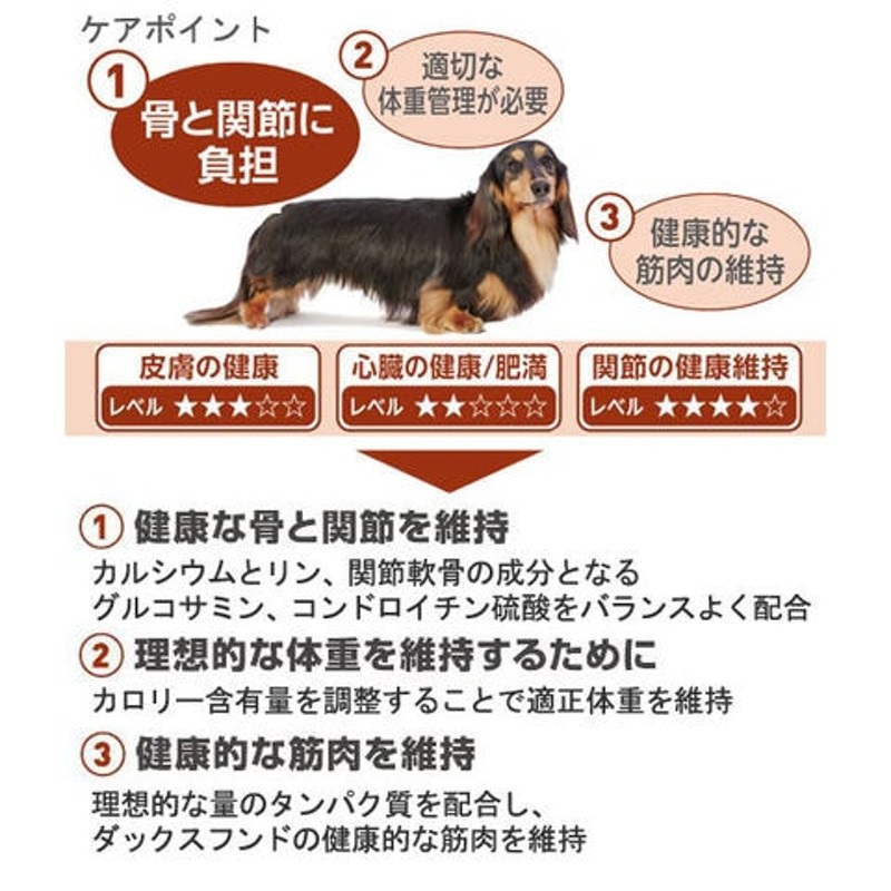 ロイヤルカナン ダックスフンド 中・高齢犬用 ８００ｇ×５袋 ジップ付