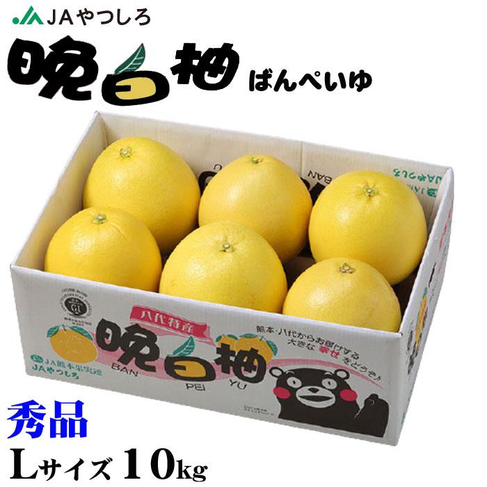 お歳暮 みかん 晩白柚 ばんぺいゆ 秀品 Lサイズ 6玉 10kg 熊本県産 JAやつしろ 送料無料 ミカン 蜜柑 ギフト お取り寄せ