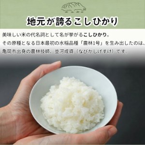 訳あり 定期便 新米 5kg 4ヶ月 京都丹波米 こしひかり 白米 4回定期便 5kg×4回 計20kg ※精米したてをお届け《緊急支援 米・食味鑑定士 厳選 コシヒカリ 京都丹波産 特Ａ》 ※北海道・沖縄・離島への配送不可