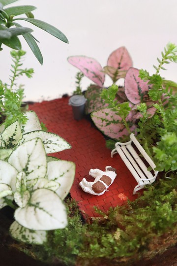 【微景觀】那裡有隻可愛的狗狗 - 苔蘚組盆/交換禮物/公園/狗狗