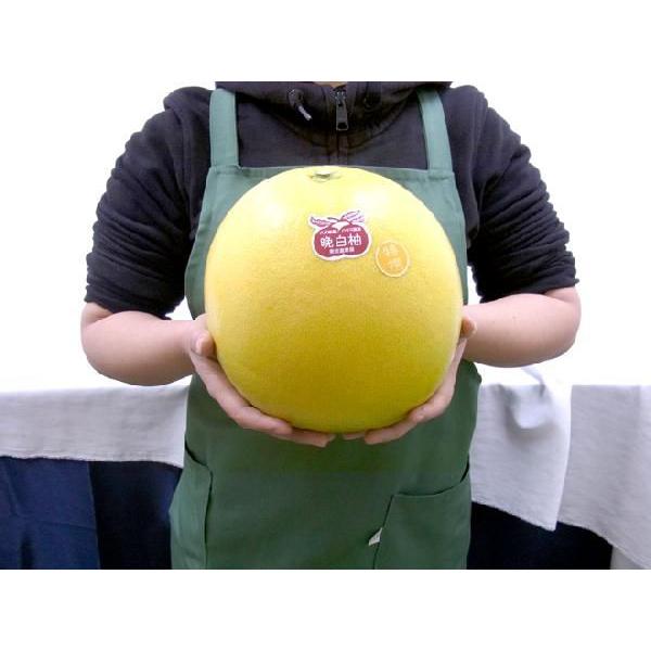 熊本県八代特産 ”晩白柚” ばんぺいゆ 秀品 2Lサイズ 約2kg