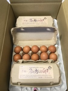 （冷蔵）美味しい　平飼い　飛鳥の卵　４０個／古都　風雅ファーム　鶏卵　たまご　玉子　奈良県　宇陀市