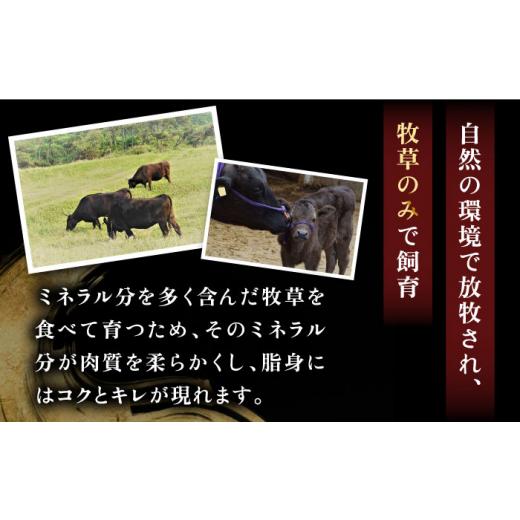 ふるさと納税 長崎県 壱岐市  壱岐牛 肩ロース 300g（焼肉用）《壱岐市》 肉 牛肉 焼肉 BBQ 赤身 [JBO092]