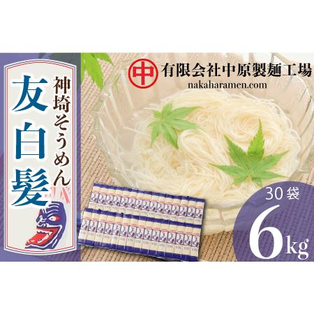 ふるさと納税 神埼そうめん「友白髪」 30袋入り (H045103) 佐賀県神埼市