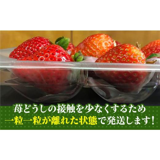 ふるさと納税 福岡県 那珂川市 農家直送 朝採り新鮮いちご約270g×2パック＜株式会社HFutures＞那珂川市 [GDS0…