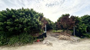 大樹區/近姑山國小/方正農地✨有水有電22952｜高雄市大樹區洲仔段