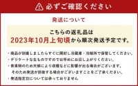  益城産 ばってん甘柿 秀品 約3kg 柿 10～14玉 果物