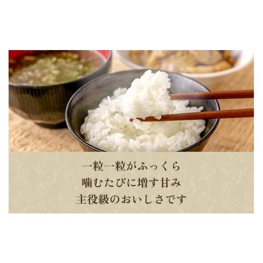 ふるさと納税 新潟県 加茂市 新潟県加茂市産 特別栽培米コシヒカリ 精米25kg（5kg×5）白米 従来品種コシヒカリ 加茂有機米生産組合